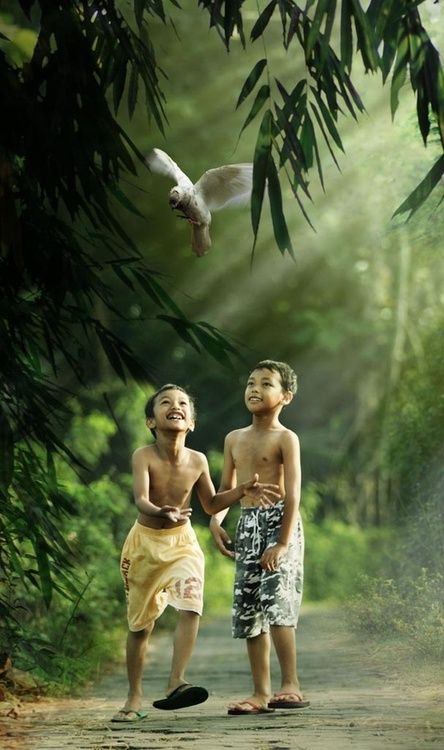 happy children in the forest, Indonesia. Kids Around The World, Foto Art, Abraham Hicks, Jolie Photo, People Of The World, 인물 사진, Happy People, Happy Kids, People Around The World