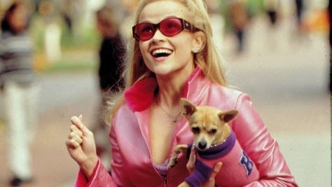 Bruiser Bruiser Woods, Legally Blonde 3, Reese Witherspoon Movies, Legally Blonde Movie, Best Chick Flicks, Blonde Couple, Blonde Movie, The House Bunny, Film Cult