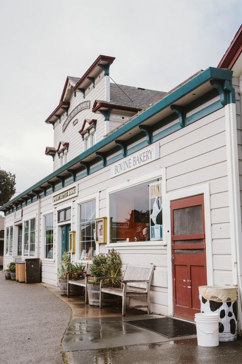 Dillon Beach California, Point Reyes Wedding, Point Reyes California, Bachelorette Inspo, Tomales Bay, California Life, Marin Headlands, Cali Trip, Point Reyes National Seashore