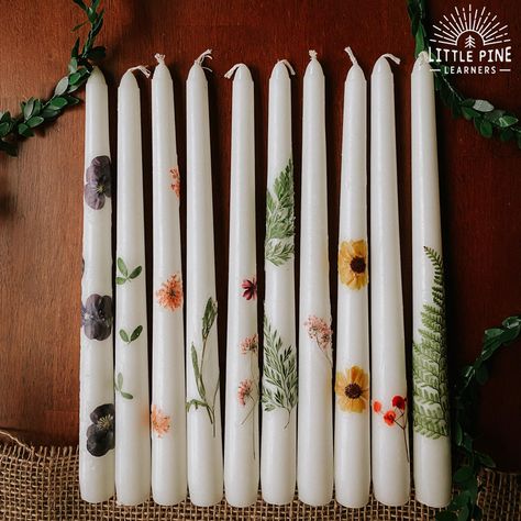 Natal, Pressed Flower Candles, Diy Candles With Flowers, Dried Flowers Crafts, Dried Flower Candles, Floral Candles, Pressed Flowers Diy, Paper Flower Easy, Dried Flowers Diy