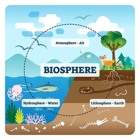 The Four Spheres Of The Earth - WorldAtlas Subsystems Of The Earth Poster, Subsystems Of The Earth, Ecosystems Projects, Earth's Spheres, Earth Science Lessons, Science Anchor Charts, Earth Poster, Earth And Space Science, Earth Atmosphere