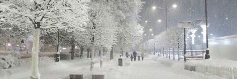 snowy street trees snow aesthetic white christmas park winter Natal, Winter Banners Discord, Snow Header Aesthetic, Winter Banner Twitter, Winter Notion Banner, Grey Keyboard Wallpaper, Snowy Discord Banner, Winter Twitter Header Aesthetic, Snow Discord Banner