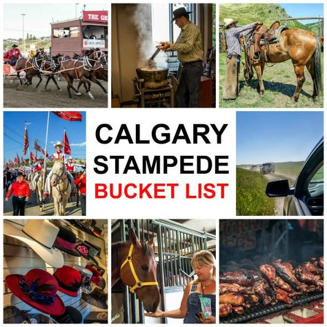 21 Incredible Things To Do at the Calgary Stampede Bucket List Amazing Experiences, Canadian Road Trip, Calgary Stampede, Lake Louise, True North, Calgary Alberta, Canadian Rockies, Planning Your Day, Alberta Canada