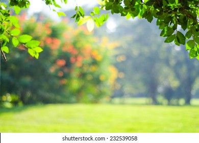 Blur garden tree nature background with bokeh light, Blurred spring green garden, park in spring and summer, Blur nature outdoor abstract background Nature, Blurry Painting, 16:9 Wallpaper Backgrounds, Blur Nature, 16:9 Wallpaper, Green Background Video, Tree Nature, Bokeh Background, Bokeh Lights