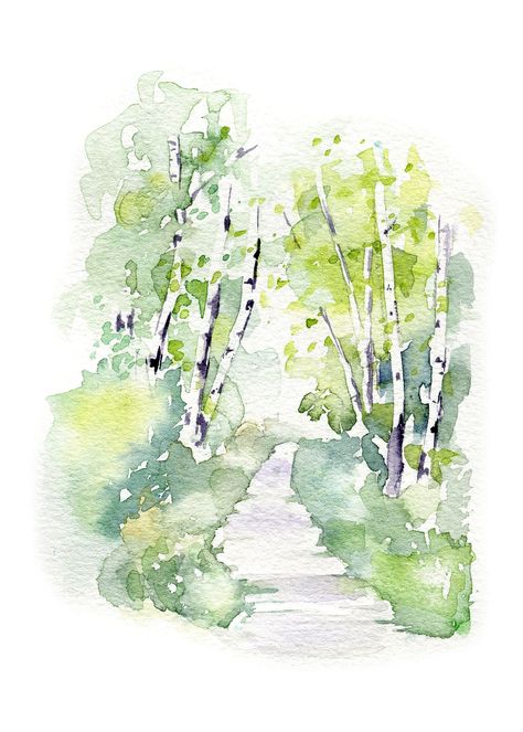 Croquis, Spring Tree Watercolor, Watercolour Birch Trees, Birch Tree Watercolor Painting, Birch Tree Illustration, Birch Watercolor, Path Watercolor, Birch Tree Watercolor, Watercolor Birch Trees