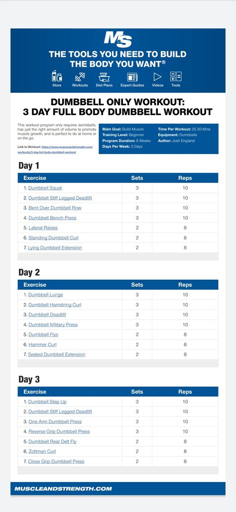 Home Dumbell Workout Schedule, Dumbbell Workout Plan For Women, Dumbbell Only Workout Plan, 3 Day Dumbbell Workout Plan, Gym Programs, Weight Lifting Schedule, Dumbbell Workout Plan, Dumbbell Only Workout, Kids Workout