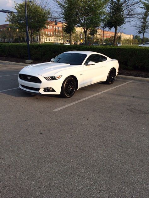 2017 Ford Mustang Gt, 2017 Mustang Ecoboost, Mustang Ecoboost Premium, Mustang 5.0, 2018 Mustang Gt, Mustang 2016, Ford Mustang 2016, Ford Mustang Gt 2015, Mustang 2018