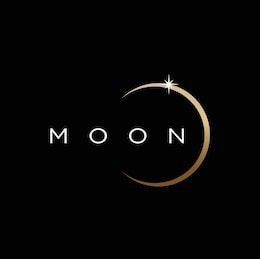Moon Logo Luna Logo Design, Moon Logo Ideas, Moonlight Logo, Nm Logo, Moon Logo Design, Sleep Logo, Moon Sketches, Moon Cafe, Rays Logo
