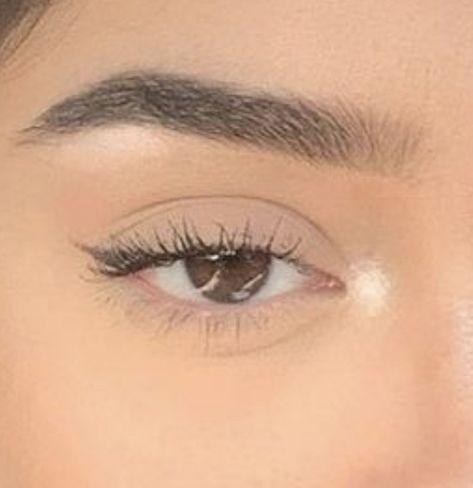 Tumblr, Feline Almond Eyes, Soft Brown Eyeliner Natural, Soft Black Eyeliner, Simple Eyeliner Natural, Small Eyeliner Makeup, Natural Makeup For Almond Eyes, Dainty Eyeliner, Almond Eye Makeup Eyeliner