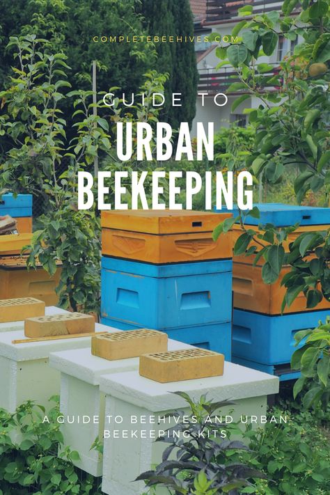 Keeping Bees In The City, Small Space Beekeeping, Raising Honey Bees Beekeeping, Honey Bee Setup, Backyard Beekeeping Setup, Raising Bees For Beginners, Urban Farming Backyard, Bee Keeping For Beginners, Urban Beehive