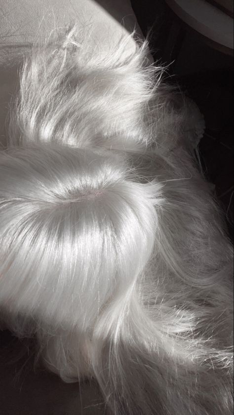 white hair aesthetic Short White Curly Hair, Long White Hair Aesthetic, Albino Hair, White Hair Princess, Pearl White Hair, White Hair Green Eyes, Fluffy White Hair, White Hair Aesthetic, White Silver Hair