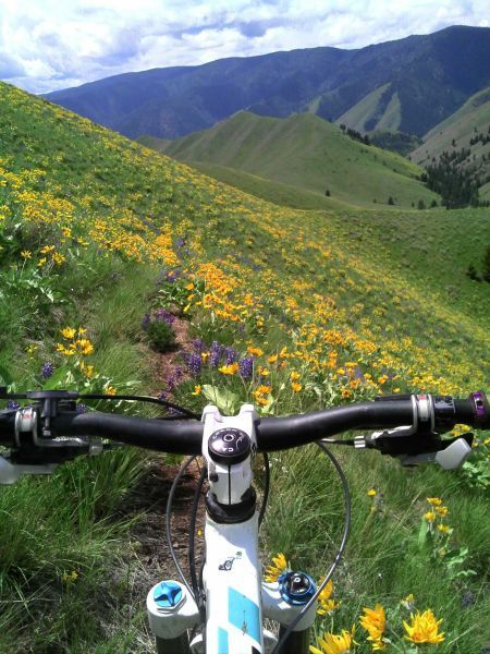 Mountain Bike Wallpaper, Road Bike Photography, Biking Aesthetic, Mountain Biking Quotes, Bike Wallpaper, Mountain Biking Photography, Mountain Bike Art, Mountain Biking Women, Stylish Bike