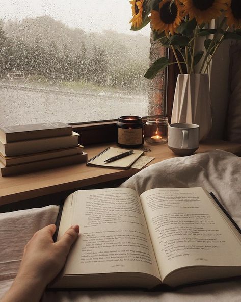 #books #reading #rain #read #fall #cozy #book #coffee #autumn  https://weheartit.com/entry/323292850 Cozy Aesthetic, Foto Tips, Tapeta Pro Iphone, Images Esthétiques, Dark Academia Aesthetic, Academia Aesthetic, Beige Aesthetic, Autumn Aesthetic, Coffee And Books