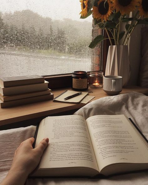 #books #reading #rain #read #fall #cozy #book #coffee #autumn  https://weheartit.com/entry/323292850 An Open Book, Foto Tips, Cozy Aesthetic, Bookish Things, Tapeta Pro Iphone, Images Esthétiques, Dark Academia Aesthetic, Reading A Book, Academia Aesthetic