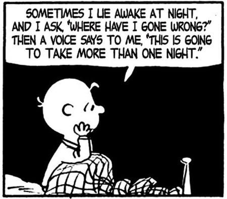 Sometimes I Lie Awake At Night Charlie Brown, Peanuts Quotes, Charlie Brown Quotes, Snoopy Funny, Snoopy Quotes, Snoopy Love, Humor Grafico, Charlie Brown And Snoopy, Great Quotes