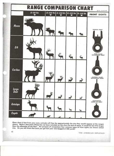 Hunting with iron sights Bow Hunting Deer, Deer Hunting Gear, Deer Hunting Tips, Quail Hunting, Types Of Hunting, Iron Sights, Hunting Life, Comparison Chart, Hunting Tips