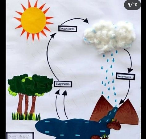 Water Cycle Craft Preschool, Water Cycle Craft, Frog Life Cycle Craft, Water Cycle Project, Science Exhibition Projects, Biology Projects, مشروعات العلوم, Hand Art Kids, School Kids Crafts