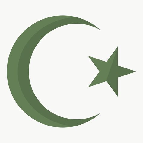 Crescent Moon Islam, Islam Symbol Aesthetic, Star Symbol Design, Islam Symbol, Star Symbol, Pakistan Flag, Crescent Moon And Star, Winter Wreaths, Graphic Designing