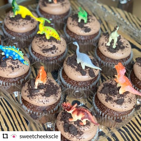 Dino Party Cupcakes, Dino Desserts Party Ideas, Jurassic Park Party Cupcakes, Mini Dinosaur Cupcakes, 3 Rex Birthday Cupcakes, 3rd Dinosaur Birthday Cake, Dinosaur Cupcakes Diy, Dino Four Birthday Cake, Easy Dino Cupcakes