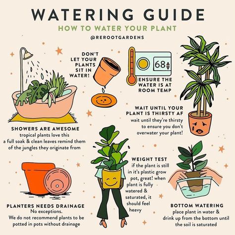 Home Deco’s Instagram post: “Here are 7 things you can do to properly water your plants and avoid over-watering! (via @rerootgardens) Follow us @homedeco for plant…” Household Plants, Plant Journal, Plant Care Houseplant, Indoor Plant Care, Inside Plants, Growing Plants Indoors, Plant Guide, House Plant Care, House Plants Indoor