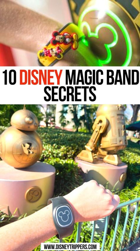 10 Disney Magic Band Secrets Disney Character Dining, Disney World Itinerary, Disney World With Toddlers, Disney Universal Studios, Disney World Packing, Honeymoon Tips, Disney Magic Bands, Disney World Rides, Disney Trip Planning