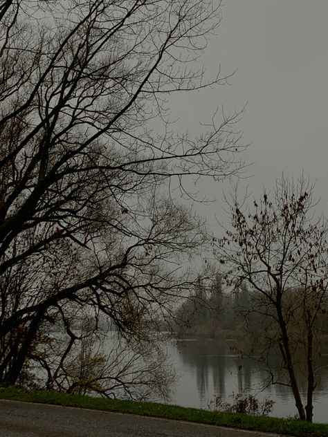 #river #water #photography #trees #nature #winter #cold #aesthetic #evening Nature, Grey Winter Aesthetic, Cloudy Aesthetic, Cold Aesthetic, Aesthetic Evening, Trees Aesthetic, Nature Winter, Gray Tree, River Water