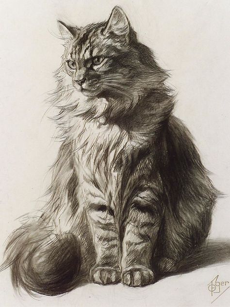 Skinner Auctions | The Cat Auction lot 232 | Ferdinand Oger �… | Flickr Realistic Cat Drawing, Cats Art Drawing, Realistic Sketch, Pencil Drawings Of Animals, Pencil Sketch Images, Realistic Pencil Drawings, Tabby Cats, Animal Drawings Sketches, Cat Sketch