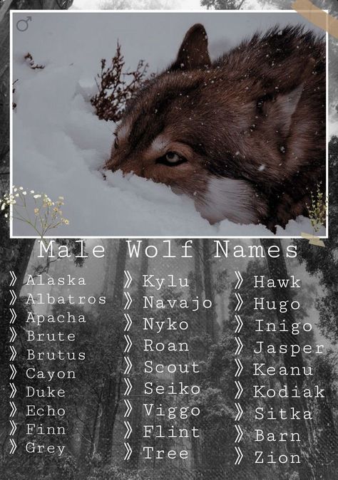 Wolf Pack Names, Names That Mean Snake, Aesthetic Male Names, Ice Names, Wolf Names, Wolf Alpha, Wolf Name, Fantasy Character Names, Writing Inspiration Tips