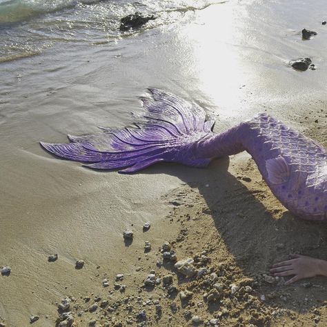 Pinterest: @ LOLAxxLOLA - mermaid tail #mermaid Mermaid Core Purple, Mermaid Purple Aesthetic, Mermaid Vibes Aesthetic, Mermaid Life Aesthetic, Mermaid Aesthetic Purple, Purple Mermaid Tail Aesthetic, Aesthetic Mermaid Tail, Pretty Mermaid Tails, Mermaid Tails Aesthetic