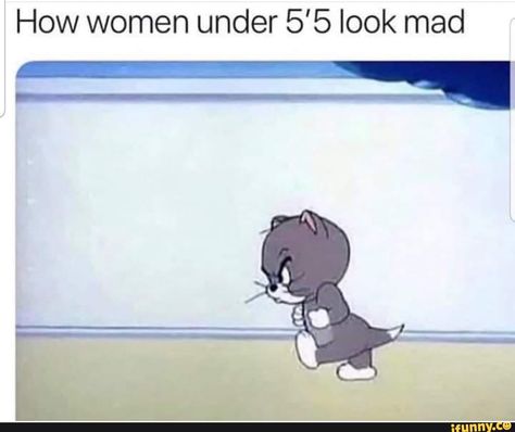 How women under 5'5 look mad – popular memes on the site iFunny.co #tomandjerry #tvshows #tomandjerry #kids #childhood #angrycat #how #women #mad #pic Humour, You Memes Funny, Mad Meme, Angry Cat Memes, Angry Meme, Angry Girlfriend, Jerry Images, Tom And Jerry Funny, Jerry Memes