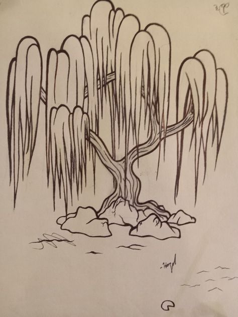 Draw Weeping Willow Tree, Drawing Of Willow Tree, Weeping Willow Sketch, Easy Weeping Willow Drawing, Willow Tree Line Drawing, Tree With Vines Drawing, How To Draw A Weeping Willow Tree, How To Draw A Willow Tree Step By Step, Drawing Willow Tree