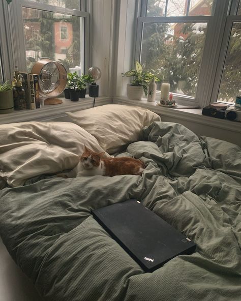 Cozy Bed Green, Bedroom Inspiration Couples, Comfy Vibes Bedroom, Industrial Loft Bedroom Ideas, Green Bed Astethic, Comfy Bed Astethic, Comfy Green Bedroom, Apartment Room Ideas Minimalist, Grey Room Asthetics