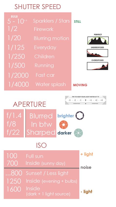 Tips for beginners in photography + A manual to download / print to help you choose your settings when shooting Nikon Settings For Indoor Photos, Camera Settings For Outdoor Photography, Photography For Beginners Sony, Photography Inspo For Beginners, Photography Goals List, Nikon D5300 Tips Cheat Sheets, Where To Start With Photography, First Time Photography Tips, Manual Settings For Outdoor Portraits