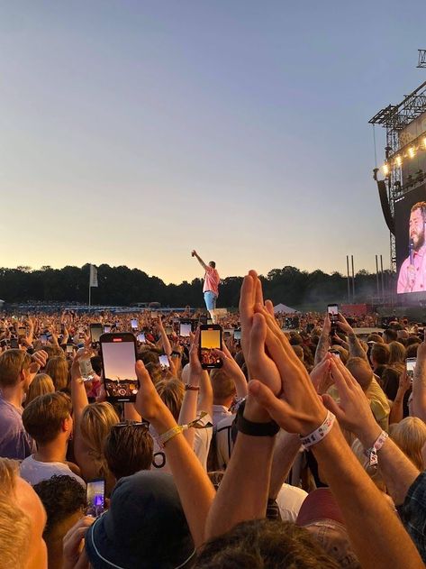 Music Festival Aesthetic, Festival Aesthetic, Reading Festival, Gov Ball, Vision Board Photos, Vision Board Pictures, Concert Aesthetic, Concert Festival, Dream Concert