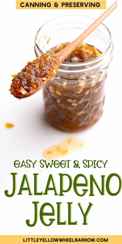 Whether you grow your own peppers or plan on buying them at the store, this jalapeno pepper jelly recipe is a great way to experience a wonderful garden to table flavour year round. Canning and preserving your own vegetables is a great way to extend your enjoyment of your garden, and save on your grocery bill! Preserving Jalapenos Canning Recipes, Canning Japaleno Peppers, Essen, Canning Candied Jalapeno Peppers, What To Do With Pickled Jalapenos, Canning Jalapenos Easy, Pickling Jalapenos Recipe Canning, Ways To Preserve Jalapeno Peppers, What To Make With Red Peppers