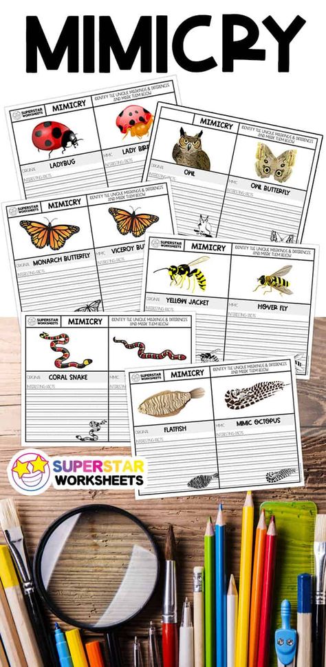 Learning about animal mimicry is an exciting opportunity for your students! Creation is filled with numerous examples of microevolution and adaptations within a species. Use these free printable mimicry worksheets to encourage your students to research these fascinating creatures! Animal Adaptations Experiments, Animal Mimicry, Animal Adaptations Activities, Adaptations Science, Adaptations Activities, Simple Machines Activities, Superstar Worksheets, Biomimicry Examples, Animal Experiments