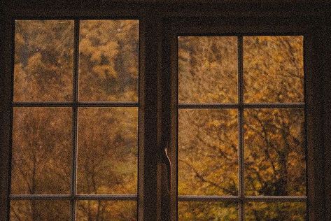 Nature, Autumn Widgets, An Open Window, Late Autumn, Dark Academia Aesthetic, Academia Aesthetic, Best Seasons, Open Window, Autumn Aesthetic