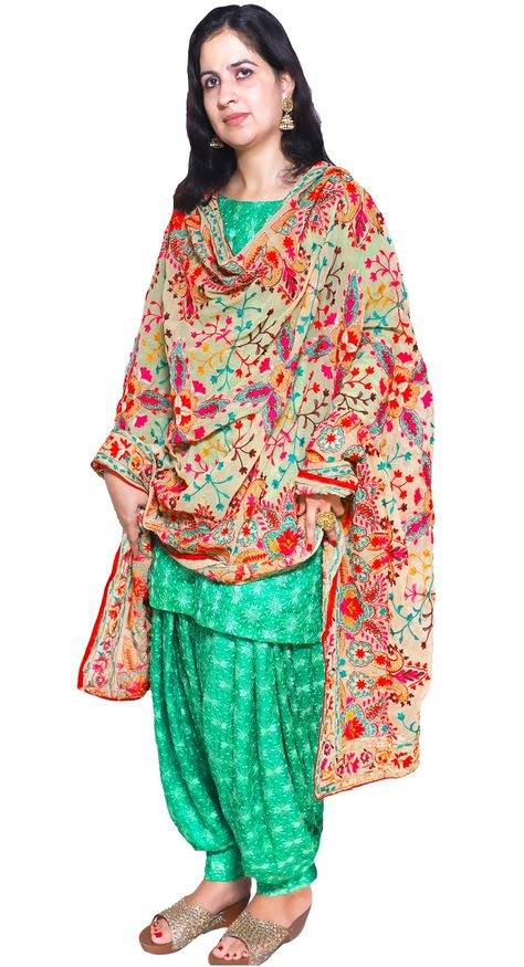 This stunning 3-piece salwar suit includes sea green phulkari embroidered kurti & patiala salwar with a georgette hand embroidered dupatta. The 3/4 sleeves kurti & salwar are designed in traditional Punjabi phulkari handwork & sequins. The dupatta is fashioned with bright multi color floral embroidery. A fashionable outfit for a special occasion! Fabric: Viscose Silk Suit & Georgette Dupatta Stitching: Fully Stitched Care: Dry clean recommended Message: Please feel free to contact us to customize this outfit or any other queries. Note: Product color may slightly differ from the image. Please note the we offer expediate shipping, that only speeds up the shipping time, our processing time will not be effected. Suit With Multicolor Dupatta, Kurti Patiala, Hand Embroidery Wedding, Multicolor Dupatta, Sleeves Kurti, Hand Embroidered Dupatta, Kurti Salwar, Phulkari Suit, Embroidery Wedding