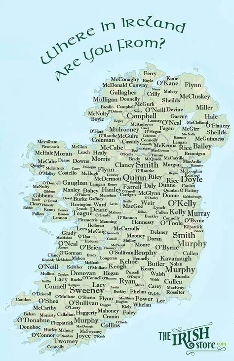 Where Are You From in Ireland? Irish Surnames, Irish Genealogy, Irish Ancestry, Scots Irish, Irish Eyes Are Smiling, Family Tree Genealogy, Irish Roots, Irish Pride, Irish Eyes