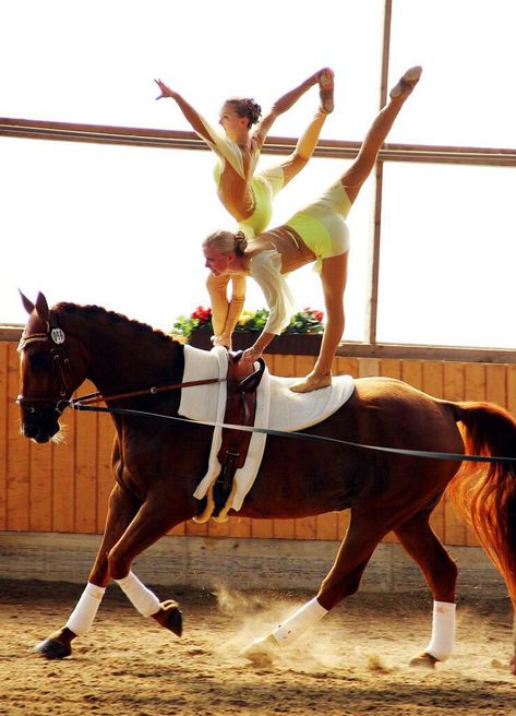 Equestrian Vaulting Moves, Horse Acrobatics, Horse Gymnastics, Vaulting Horse, Equestrian Vaulting, Vaulting Equestrian, Horse Vaulting, Trick Riding, Gymnastics Dance