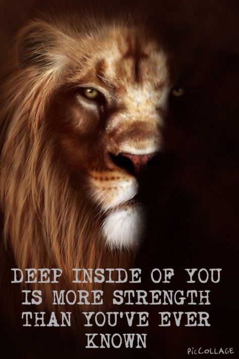 Deep inside of you is more strength then you've known Leon, Inner Strength Quotes Warriors, A Lion Doesn't Concern Himself, Underestimate Quotes, Lioness Quotes, Inner Strength Quotes, Impact Quotes, I Am Quotes, Lion Quotes