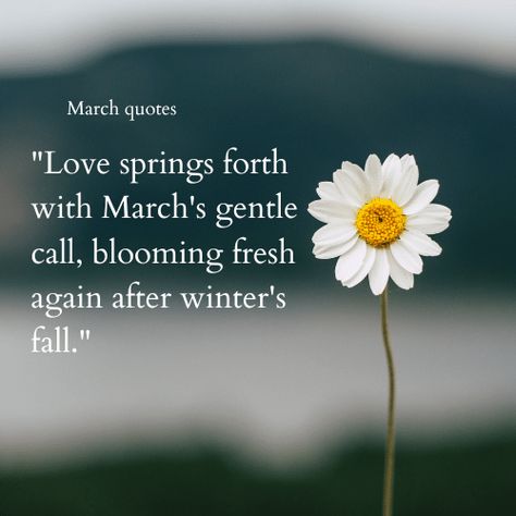 Goodbye February Hello March quotes Hello March Quotes, Goodbye February, February Hello, March Quotes, February Quotes, Hello Green, April Flowers, Hello March, March Month