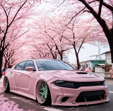 The Legendary Muscle Car Ever Made Pink Hellcat, Car For Women, Iphone Backgrounds Nature, Dodge Car, Dodge Hellcat, Dodge Charger Hellcat, Charger Srt Hellcat, Dodge Srt, Dodge Charger Srt