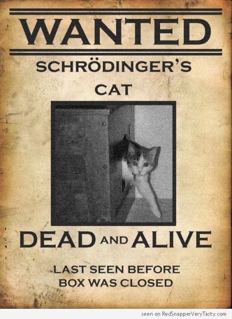 WANTED Schrödinger's cat - Dead and Alive #catoftheday Ingenieur Humor, Physics Jokes, Humour Geek, Physics Humor, Nerdy Jokes, Physics Memes, Nerdy Humor, Schrödinger's Cat, Schrodingers Cat