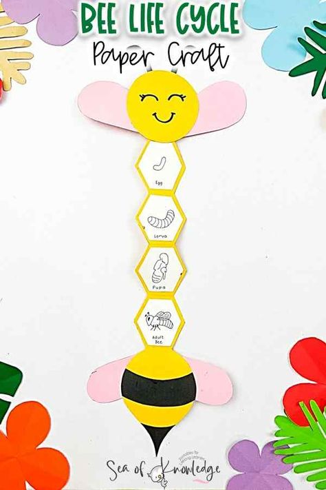 Bees Preschool Craft, Life Cycle Of A Bee Free Printable, Life Cycle Crafts For Preschoolers, Preschool Bee Theme, Life Cycle Crafts For Kids, Bee Printables Free, Honey Bee Crafts For Kids, Bee Preschool Craft, Life Cycle Of Honey Bee