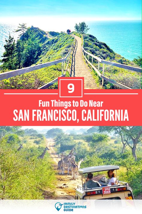 Santos, Things To Do Near San Francisco, Places To Visit Near San Francisco, Must Do In San Francisco, San Francisco Family Vacation, Things To See In San Francisco, Best Things To Do In San Francisco, Things To Do In San Francisco In One Day, Visiting San Francisco