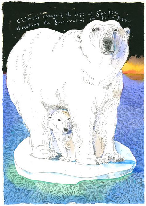 Joe Ciardiello Polar Bear Sitting Drawing, Bear Sitting Drawing, Polar Bear Sitting, Sitting Drawing, Bear Sitting, Image Halloween, Ice Bears, Image Chat, Image Nature