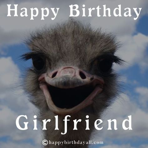 50+ Funny Birthday Memes for Her | Happy Birthday Memes for Girlfriend Happy Birthday Lesbian Funny, Happy Birthday Girlfriend Friendship, Happy Birthday Funny For Her Hilarious, Happy Birthday Girlfriend Funny, Birthday Memes For Women Hilarious, Happy Birthday Friend Girlfriends, Funny Birthday Pictures, Happy Birthday Friend Funny, Happy Birthday Memes