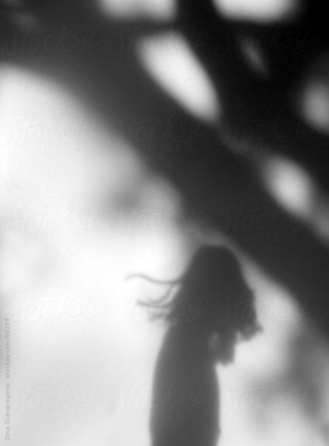 Shadows On The Wall, Shadow On Wall, Nell Crain, Interesting Silhouettes, Tree Shadow, Shadow People, Shadow Silhouette, Shadow Photography, Shadow Photos