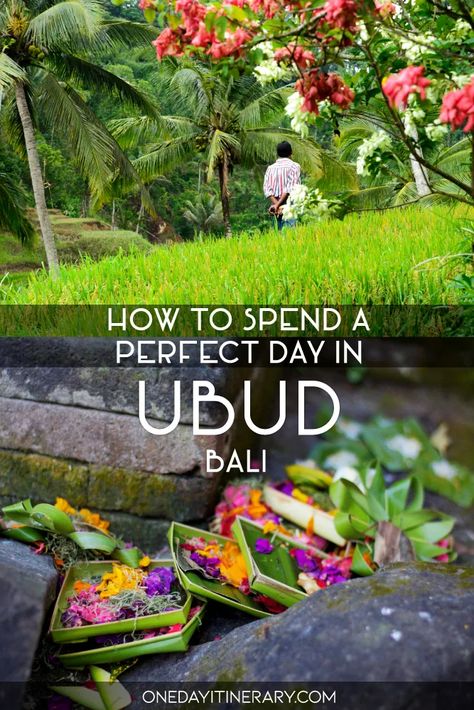 How to spend One day in Ubud, Bali? | 2021 Itinerary Ubud Itinerary, Ubud Hotels, Bali Trip, Bali Itinerary, Bali Honeymoon, Bali Vacation, Bali Travel Guide, Rice Terraces, Ubud Bali